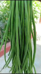 sojina (চজিনা)  Assam