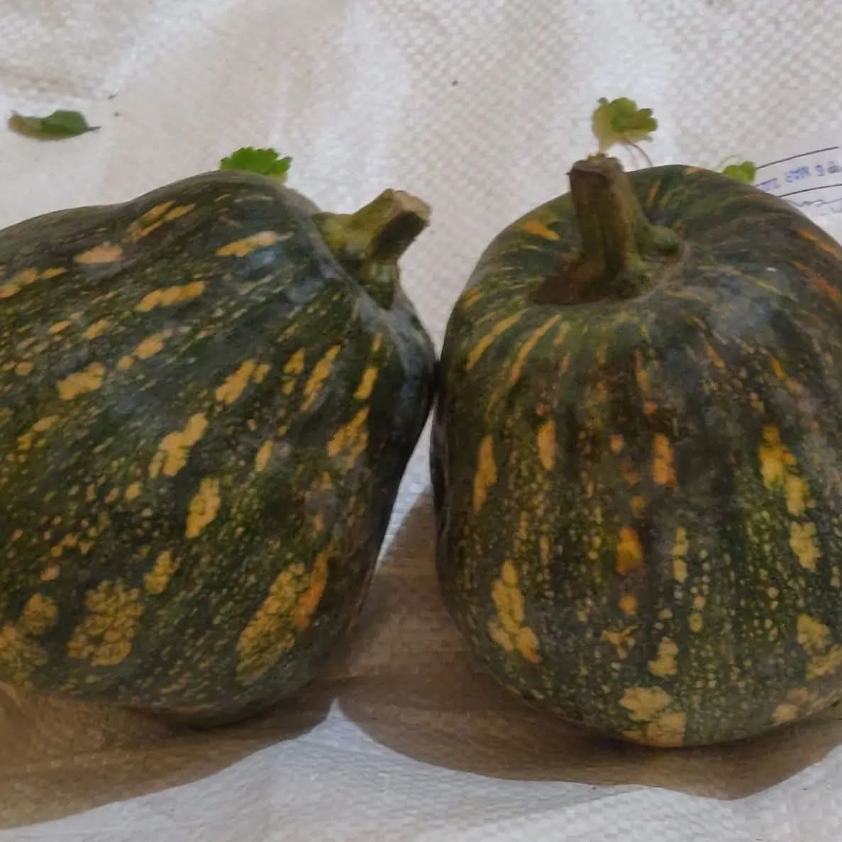 Rongalau (ৰঙালাও)