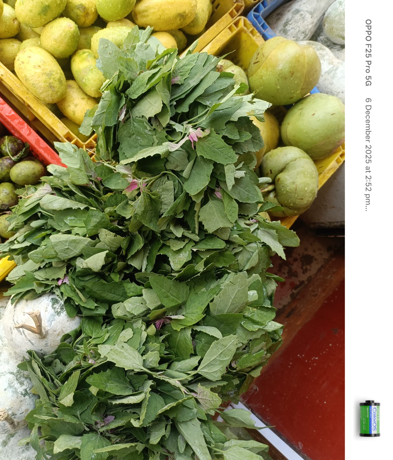 Jilmil (জিলমিল)