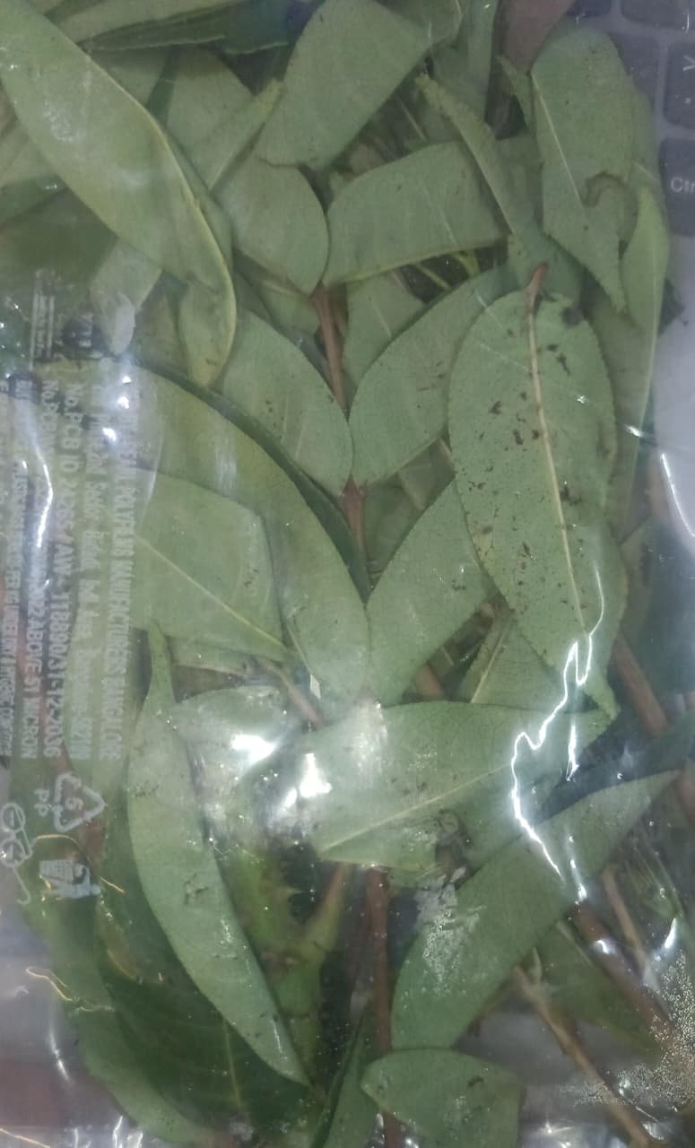 মেজেঙা পাত (Mejenga Paat)