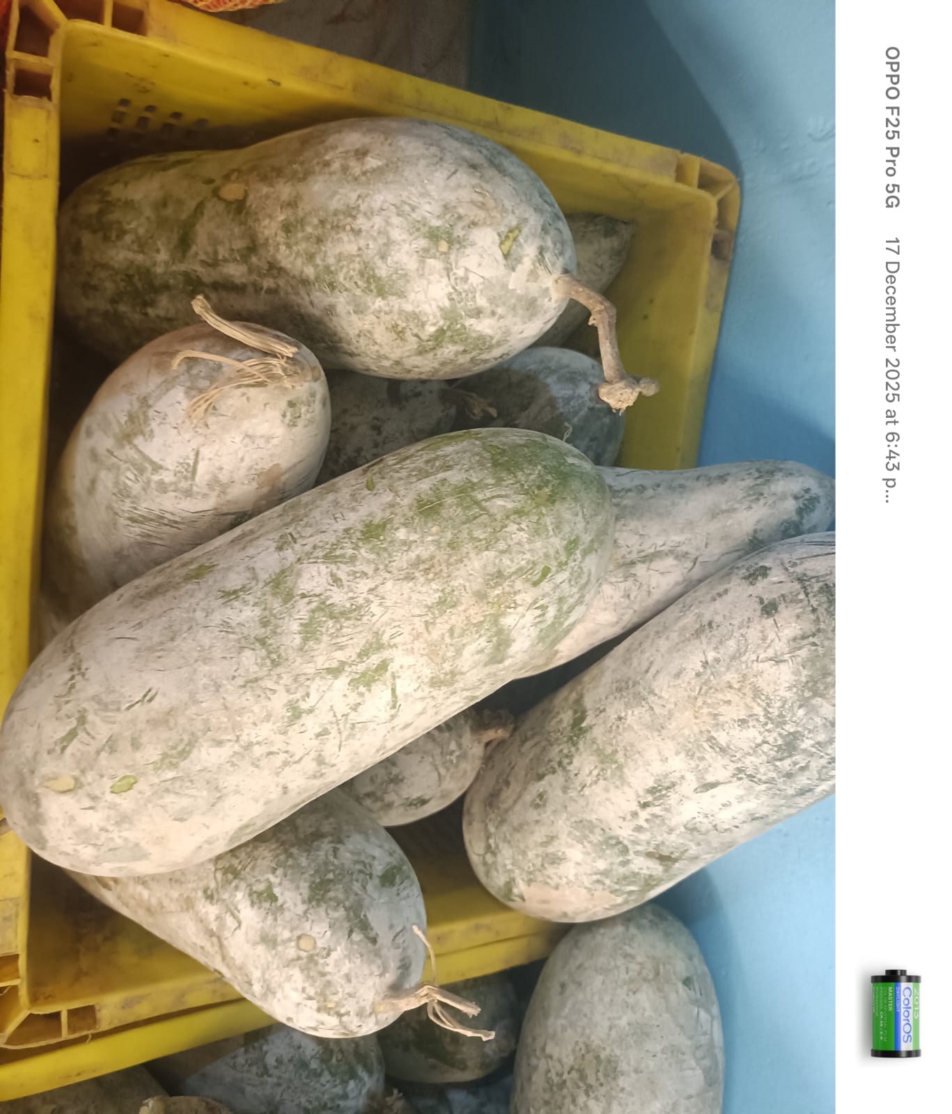 জহা কুমুৰা 1kg