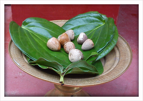 Tamul Paan / Supari