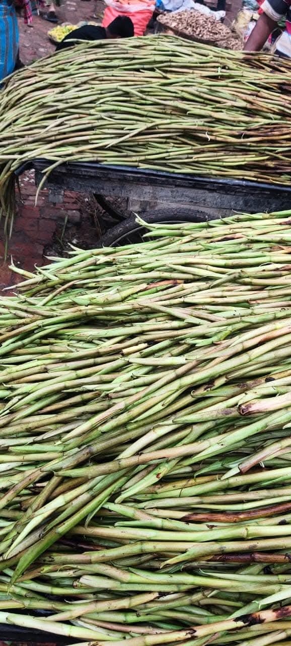 Kosu loti (কচু লোটি)1kg