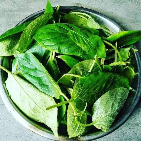 vedai lota(ভেদাই লতা)