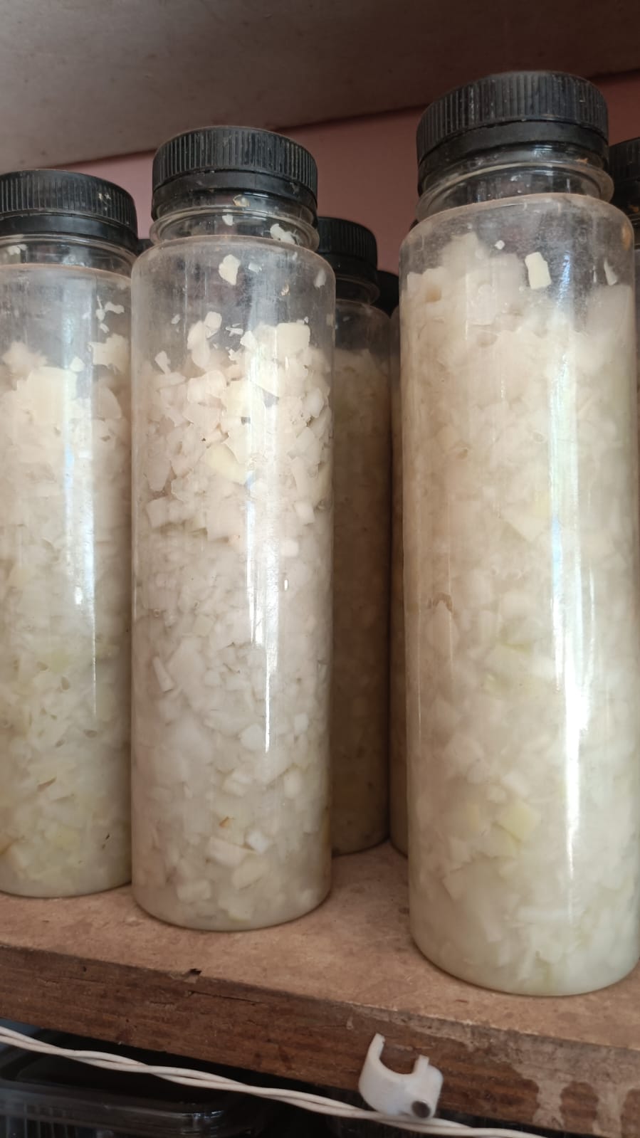 খৰিচা বটল (1bottol )